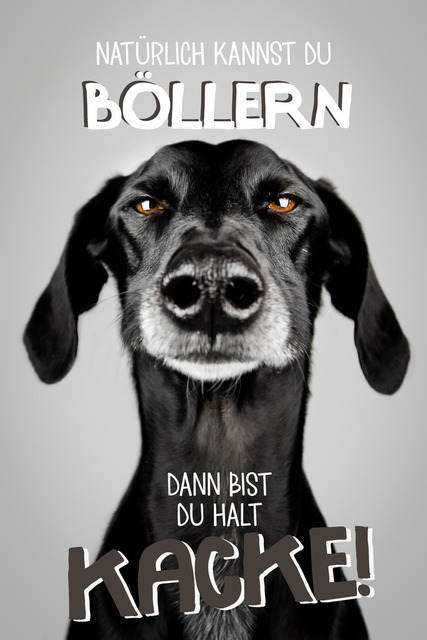 Luke findet Böllern kacke! | "Natürlich kannst du böllern, dann bist du halt kacke!"