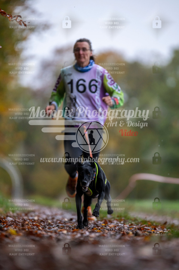 DBT_DAKM_SA_4_11_2023_Canicross-100 | PayLife
