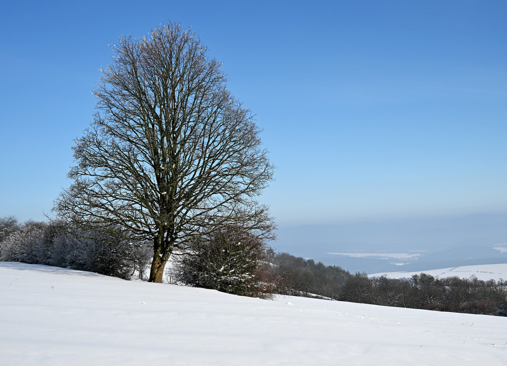 Geba260204-03 | lucisnaturbilder - Realisiert mit Pictrs.com