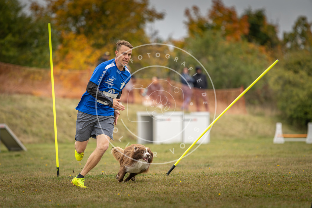 Pfotenfotografie_DV3A5381 | Hundefotografie, Tierfotograf, Pfotenfotografie, Fotoshooting Hund, Hunde Portrait, Hundesport, Hundeportraits, Heideshooting, Hunde, Sportfotograf, Hundefotograf, Turnierhundsport, THS,  - Realisiert mit Pictrs.com