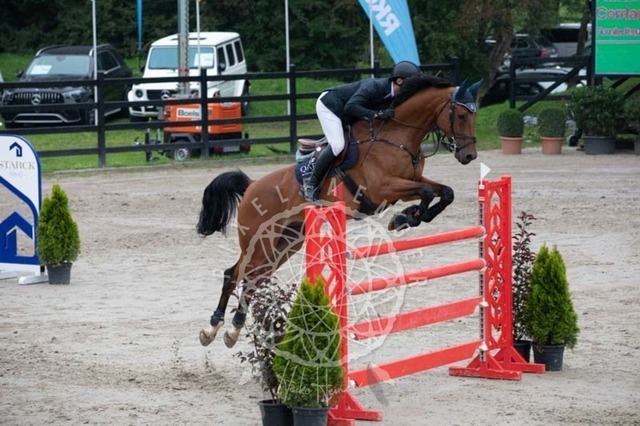 2B4A2653 | pixelfaenger - Realisiert mit Pictrs.com