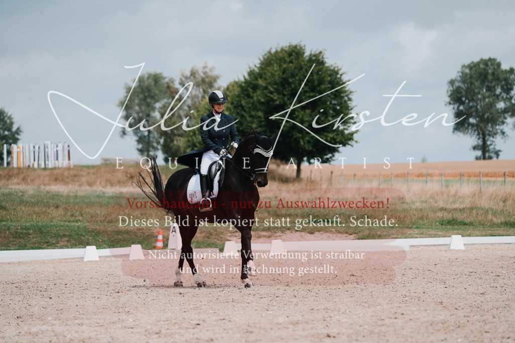 DSC_4094 | Pferde- und Turnierfotografie in Westsachsen. Pferdeportraits, Auftragszeichnungen und intuitive Kunst.