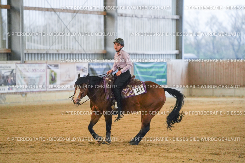 DSC09347 | Pferdegrafie