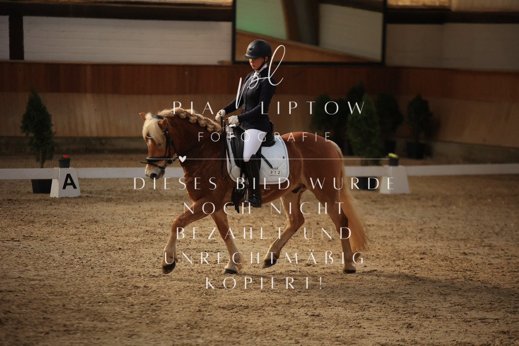 IMGT2134 | pl-fotografie