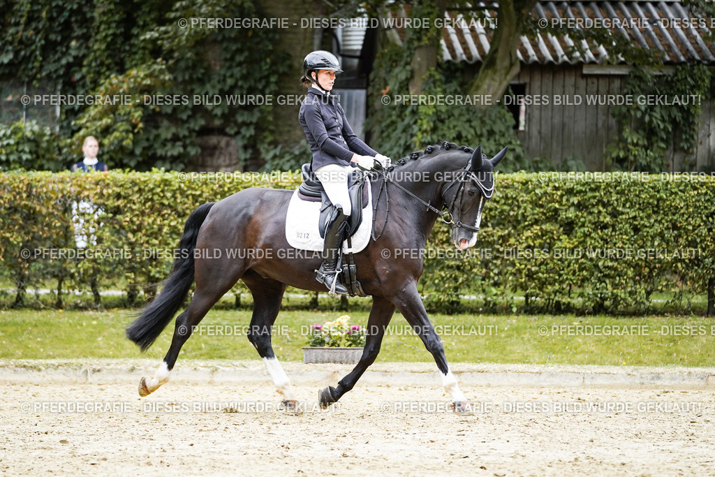 DSC09654 | Pferdegrafie