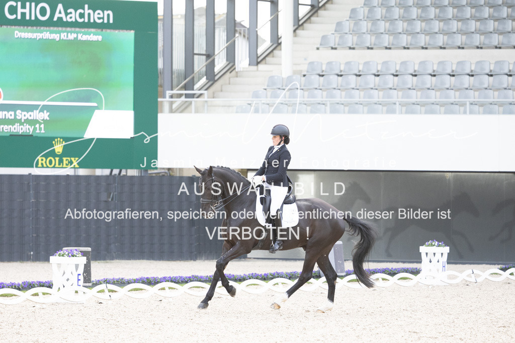 126A4559 | jasminmetznerfotografie