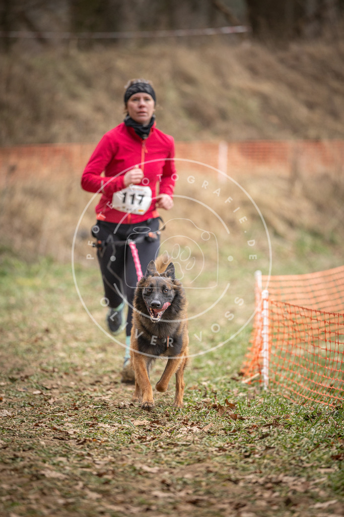 Pfotenfotografie_DV3A7630 | Hundefotografie, Tierfotograf, Pfotenfotografie, Fotoshooting Hund, Hunde Portrait, Hundesport, Hundeportraits, Heideshooting, Hunde, Sportfotograf, Hundefotograf, Turnierhundsport, THS,  - Realisiert mit Pictrs.com
