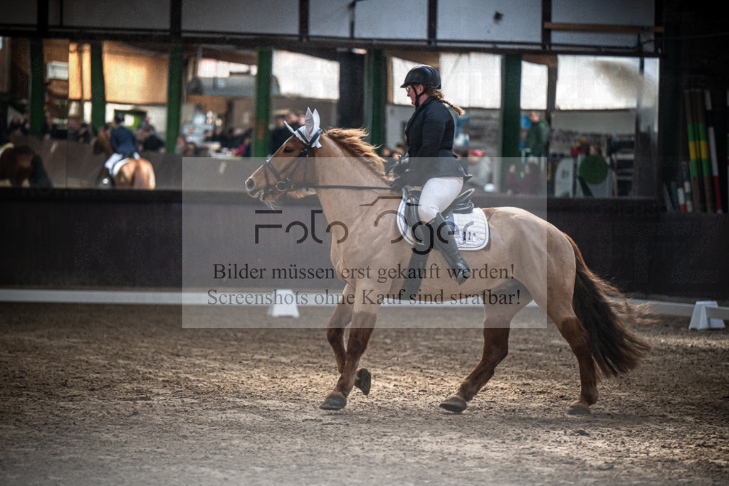 DOS_0350 | Entdecke hochwertige Reitturnierfotos von Foto Oger. Professionell, emotional und authentisch – jetzt Lieblingsmomente im Shop bestellen.Deutschlandweite Turnierfotografie. - Realisiert mit Pictrs.com