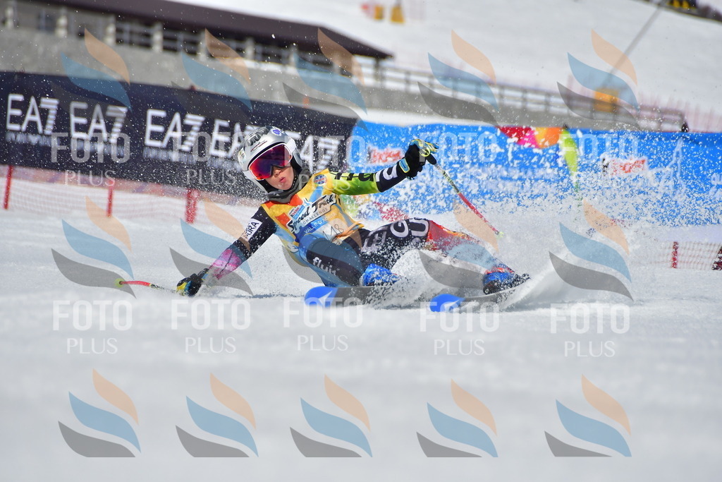 _DSC7773 | holidayphoto