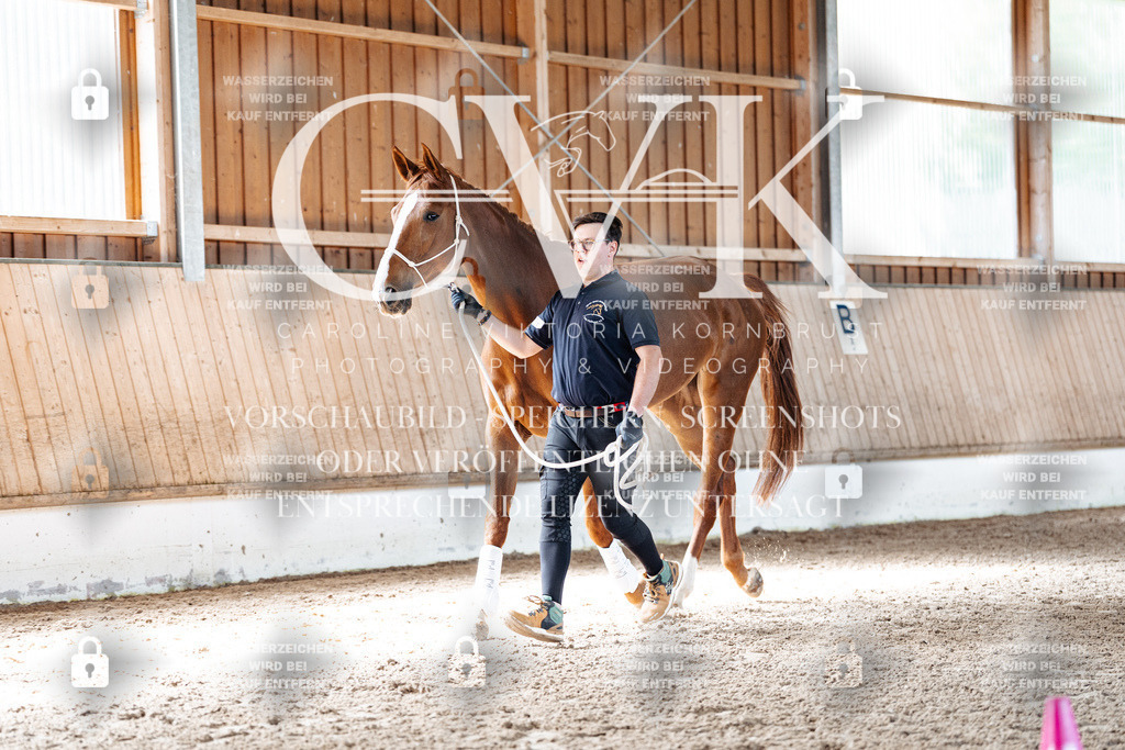 CK905829 | Turnierfotografie Pferdefotografie Trier Rheinland-Pfalz Pferdesport Reitsport Tierfotografie Sportfotografie Pferdevideo Pferdevideografie Equestrianvideography equestrianphotography  - Realisiert mit Pictrs.com