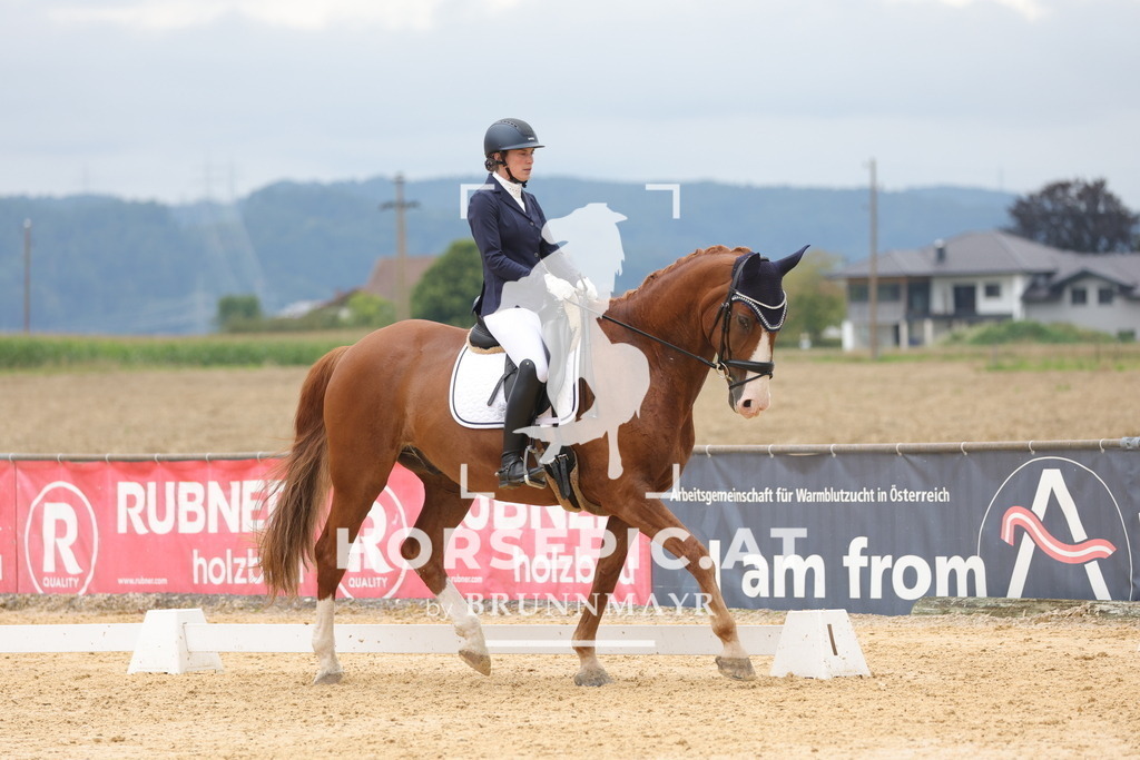 0P6A8625 | Willkommen bei Brunnmayr - Design & Fotografie – Ihrem Spezialisten für Reitturniere und Pferdeveranstaltungen in Oberösterreich, Salzburg und Bayern! Seit über 17 Jahren sind wir leidenschaftlich dabei.