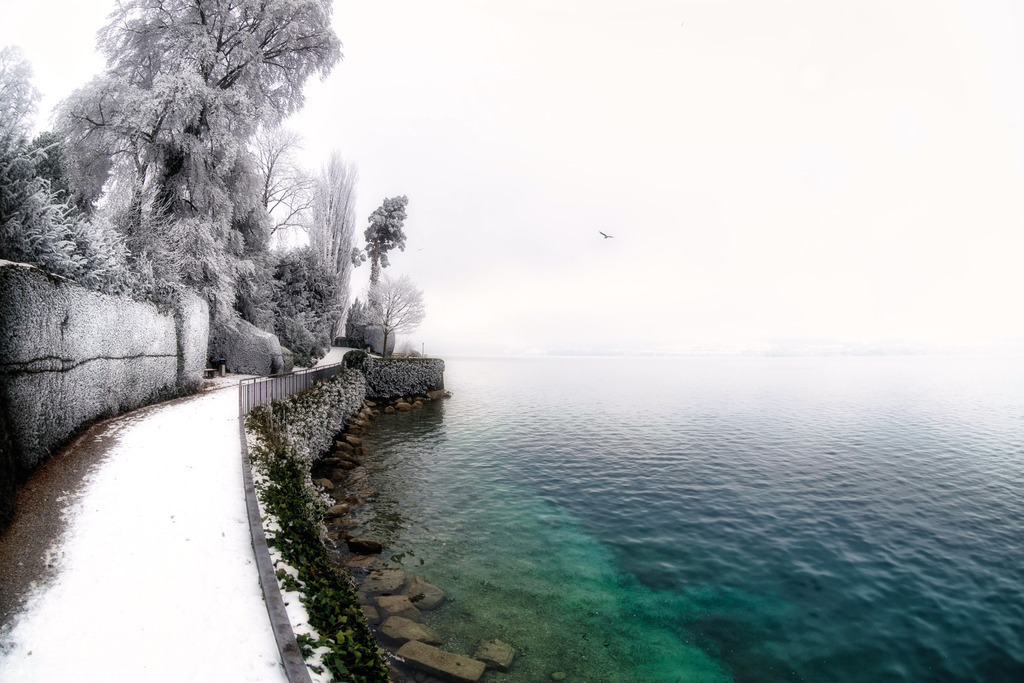 Rime & Water | Wunderbarer Raureif am Strandweg in Hilterfingen. Ich mag das Grünblau des Thunersees, das noch intensiver wirkt, weil der Rest des Bildes fast nur monochrom ist. 
-----------------------------------------------
Wonderful hoarfrost on the Strandweg in Hilterfingen. I like the green-blue of Lake Thun, which is even more intense because the rest of the picture is almost all monochrome.
-----------------------------------------------
Dieser Druck ist in einer limitierten Auflage von 5 Exemplaren erhältlich. 
This print is available in a limited edition of 5 copies. 
http://art.hess.photography/32-rime-water.html - Realisiert mit Pictrs.com