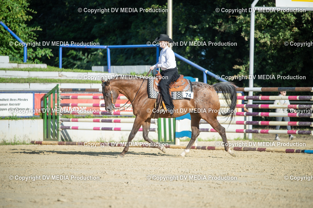 ZS1_0652 | dv-media-shop - Realisiert mit Pictrs.com