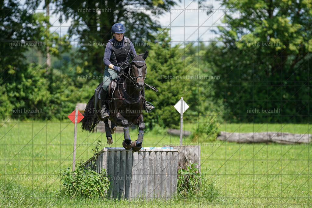 20240622-FAH06838 | Turnierfotografen Bayern, Reitsportbilder aus dem Geländekurs mit Felix Etzel auf dem Gut Waitzacker 2024