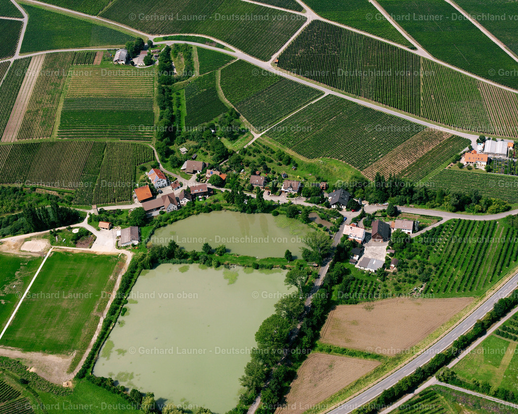 2500885 | Weinberge bei Sulm, Löwenstein