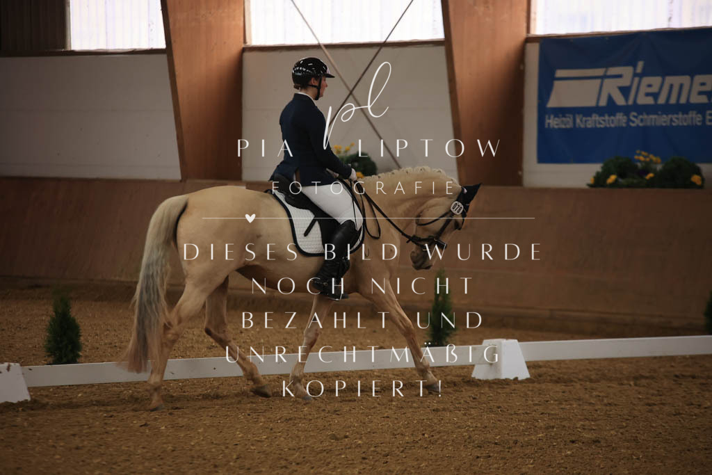 IMGT0032 | pl-fotografie