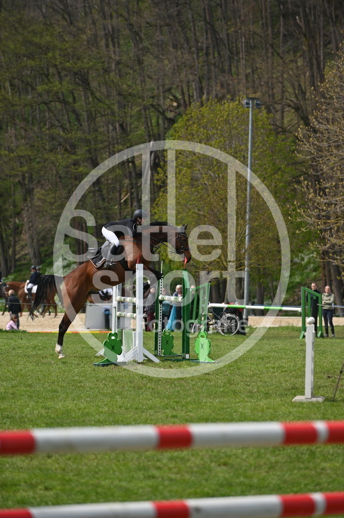 DSC_2762 | sattelsport - Realisiert mit Pictrs.com