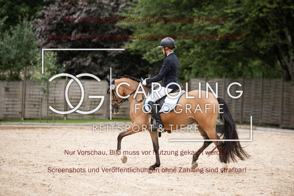 DSC_3112 | Turnierfotografin Carolin Gieschke,Reitsport Turnierfotografie Carolin G Fotografie | Turnierfotos aus Kirchheim/Teck, Esslingen, Stuttgart und dem Bodenseekreis