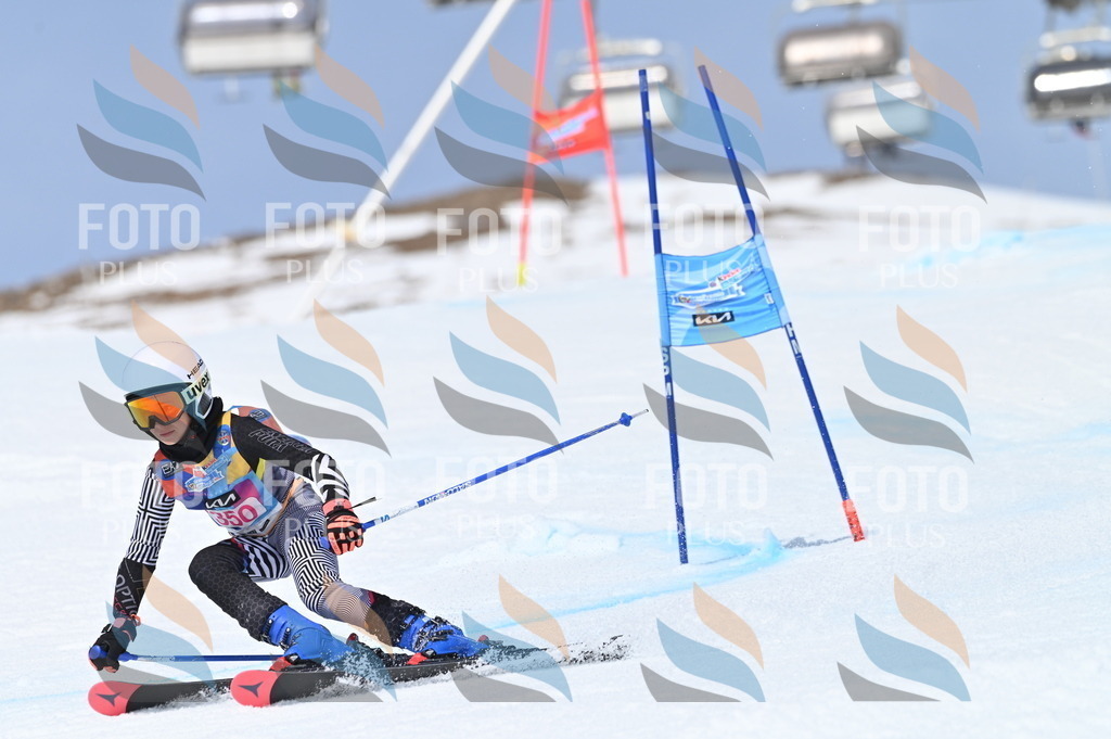 BGV_3646 | holidayphoto