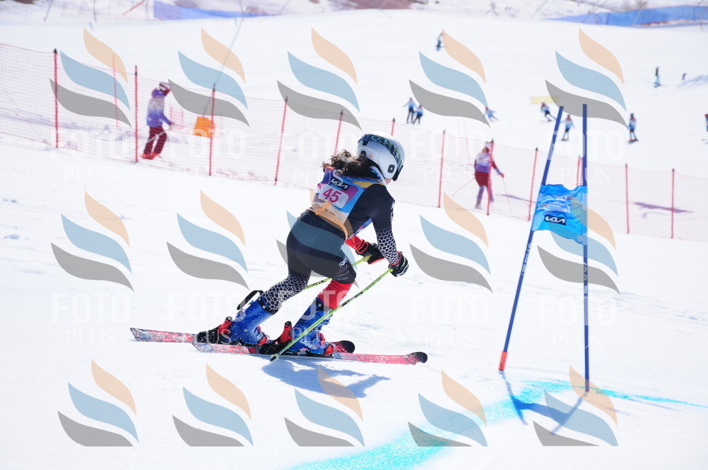 DSC_4131 | holidayphoto