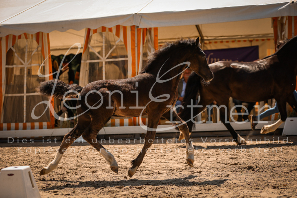 04.DoWP00093 | Leoni Ertmer Photography - Realisiert mit Pictrs.com