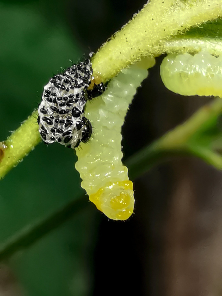 PSX_20230830_225656 | mtkfoto_ - Realisiert mit Pictrs.com