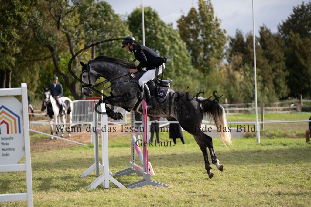A7V07380 | Turnier/Reitfotograf