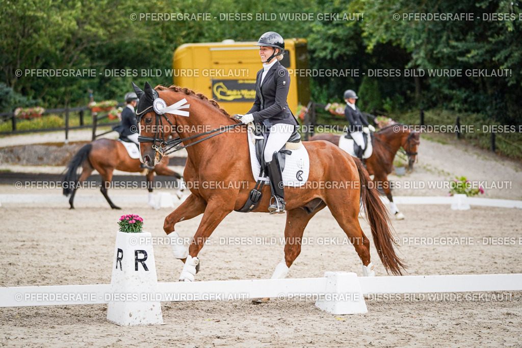 DSC09985 | Pferdegrafie