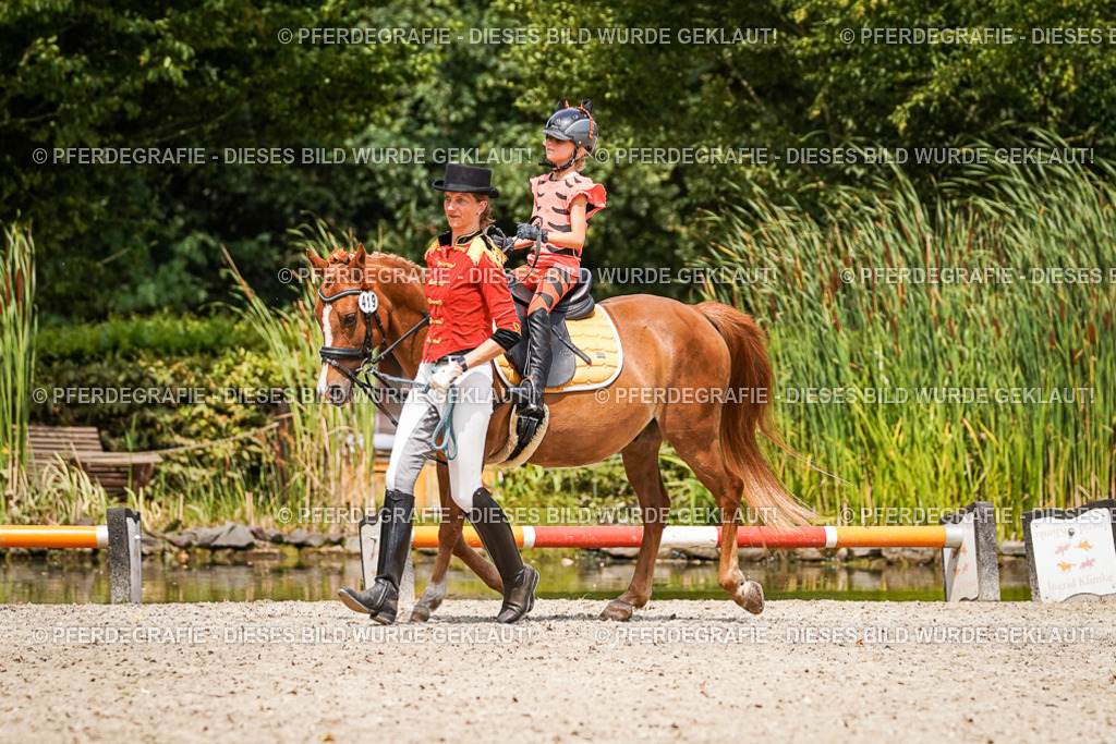 DSC03142 | Pferdegrafie