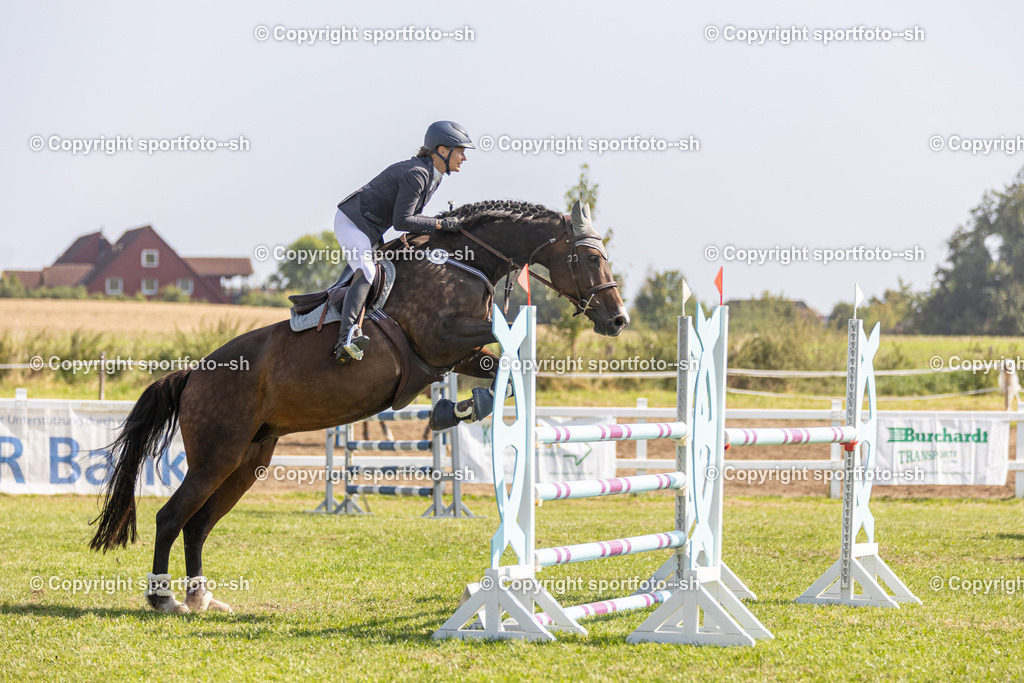 240831-VW-IS6A4203 | Sportfoto SH - Realisiert mit Pictrs.com