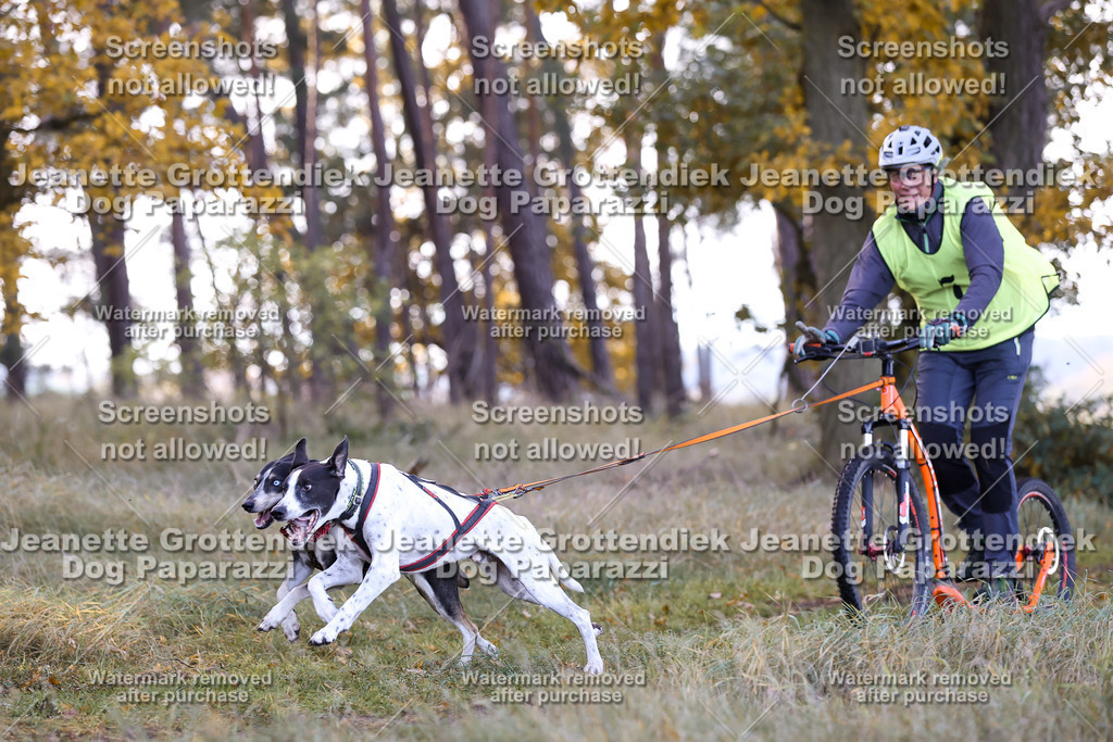 Dog Paparazzi - Elsholz 25 -55 | Dog Paparazzi Jeanette Grottendiek Fotografie & Videografie - Realisiert mit Pictrs.com