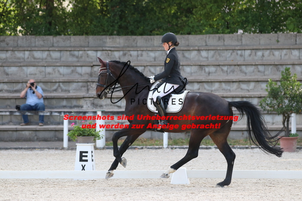 IMG_5834 | lmwpictures - Realisiert mit Pictrs.com