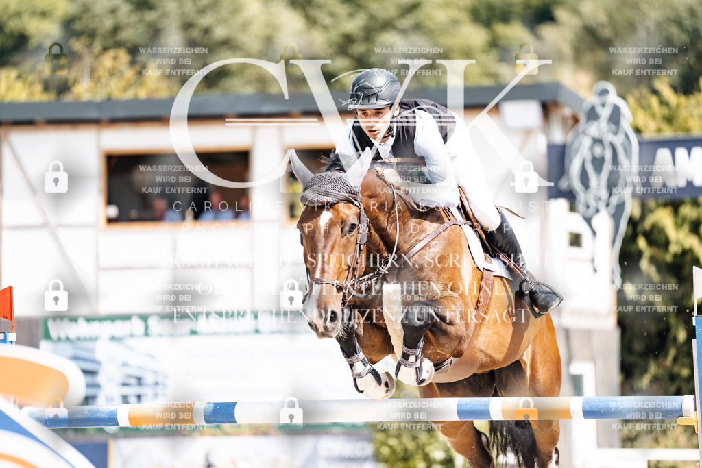 CK905115 | Turnierfotografie Pferdefotografie Trier Rheinland-Pfalz Pferdesport Reitsport Tierfotografie Sportfotografie Pferdevideo Pferdevideografie Equestrianvideography equestrianphotography  - Realisiert mit Pictrs.com