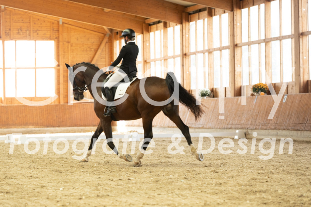 IMG_2626 | Creatify Fotografie