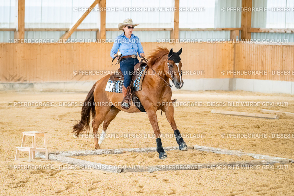 DSC07444 | Pferdegrafie