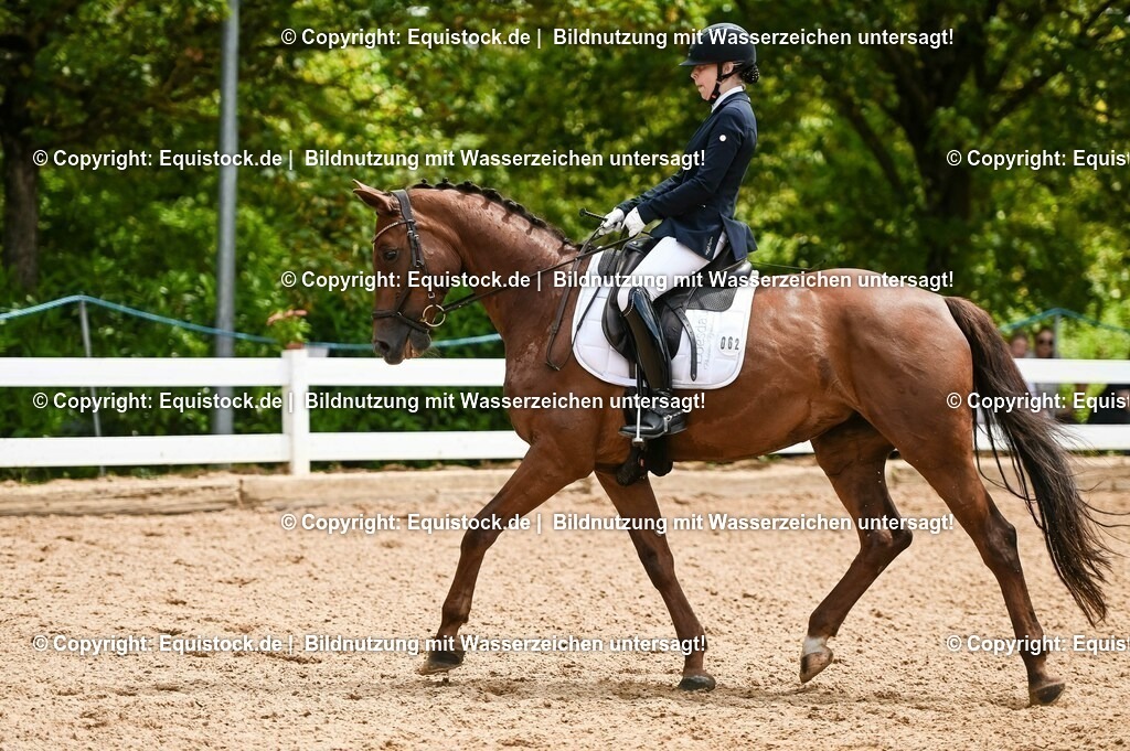 20230716_03_Dressurprfg. Kl.L - Tr._0387 | equistock