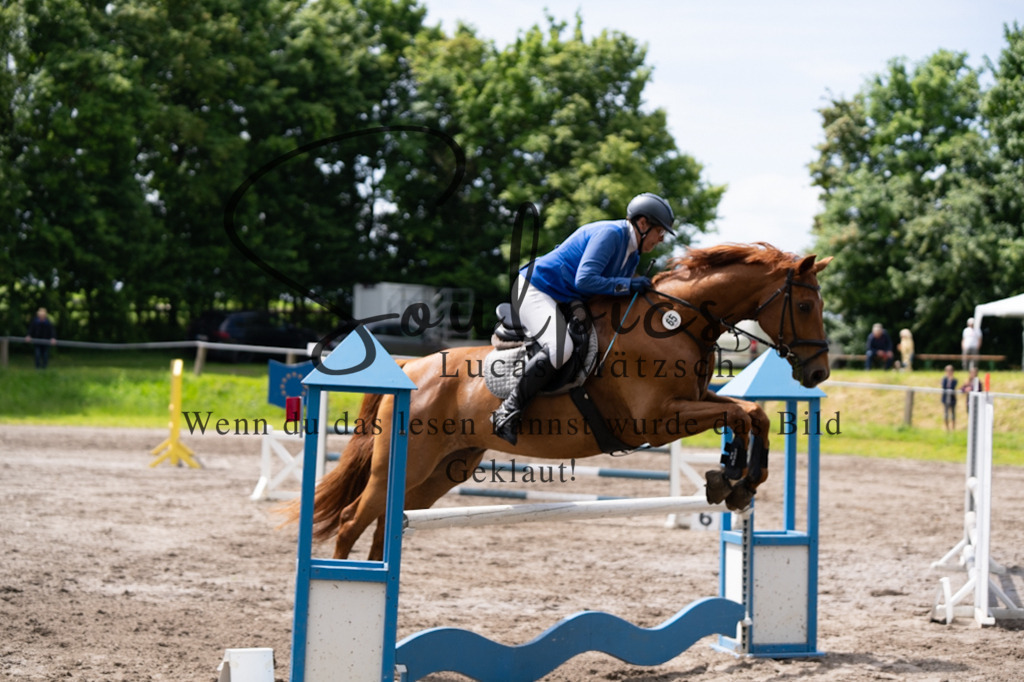 A7V04181 | Pferdefotograf