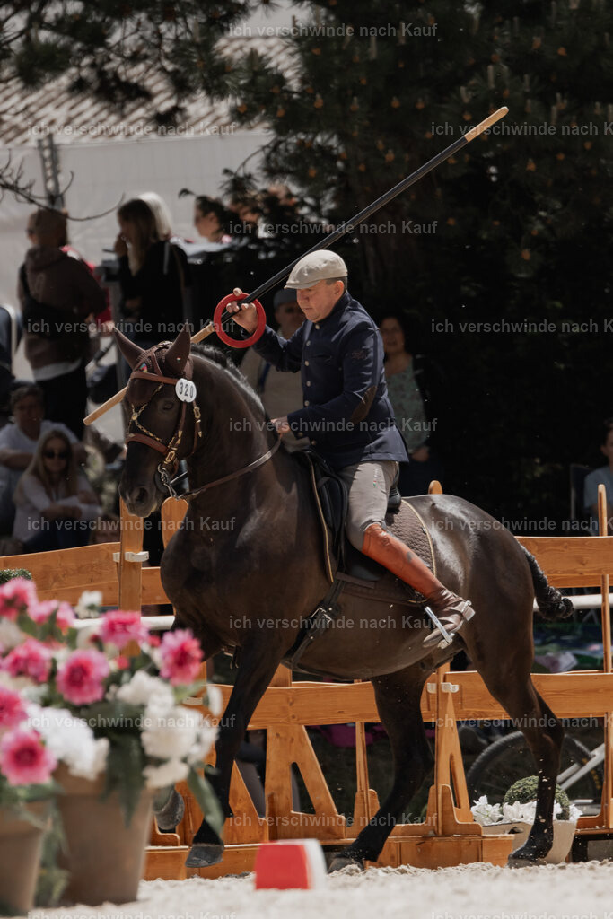 WE_ST_Stoib_320_PI2025_1100 | Pferd International München 2025