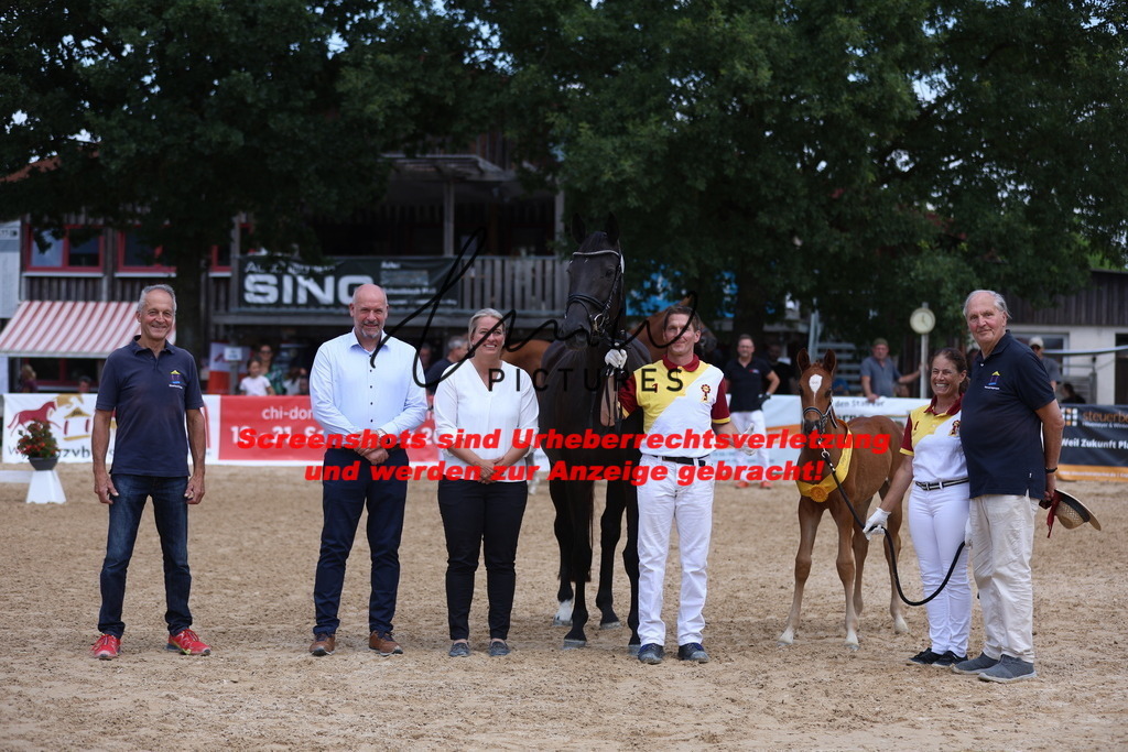 Fohlenschau_Schwäbisch_Hall_dressurbetonte_Fohlen_SIEGERFOHLEN_KN 4_11 | lmwpictures - Realisiert mit Pictrs.com