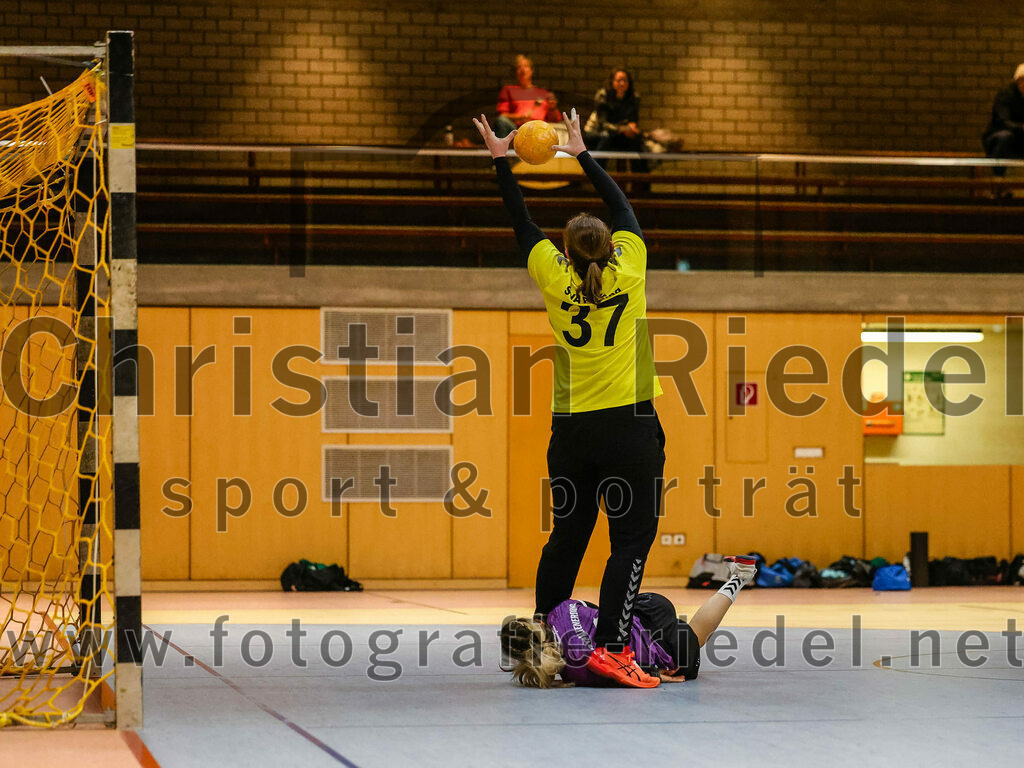 2024-02-10_050_SpVgg_Altenerding_gegen_SVA_Palzing | Erding, Deutschland, 10.02.2024:
Handball, Bezirksoberliga Frauen Altbayern 2023 / 2024, 14. Spieltag, SpVgg Altenerding gegen SVA Palzing, Endergebnis: 27:28

Torfrau Vivian Beier (SVA Palzing, #37), Lena Prem (SpVgg Altenerding, #5)

Foto: Christian Riedel / fotografie-riedel.net