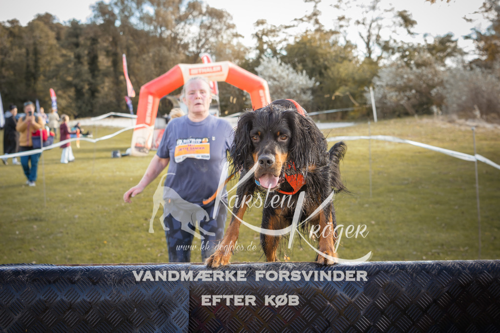 1320_ZZ90175-2 | kk-dogfotos