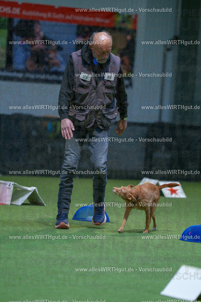 7R502584 | Professionelle Tierfotografie in Mönchengladbach von Daniel Wirth (allesWIRTHgut). Liebevolle & natürliche Bilder von Hunden & Katzen für unvergessliche Erinnerungen.