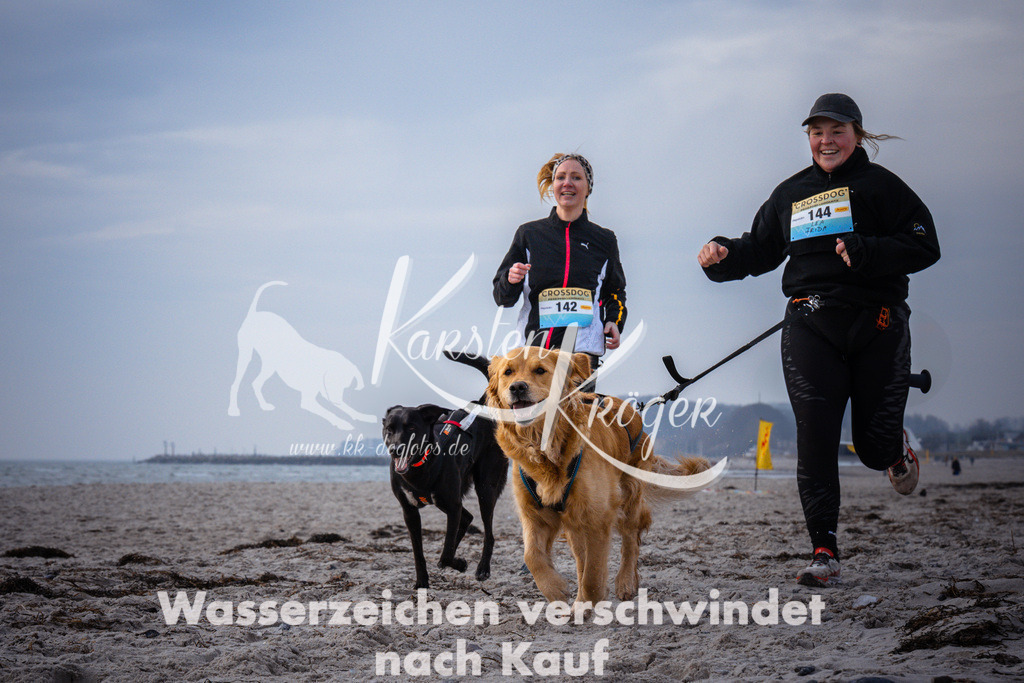 1034_ZZ95405 | kk-dogfotos