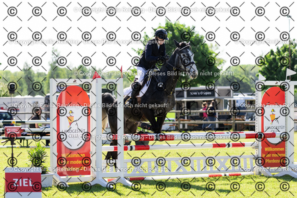 CL5A8175 | Emilia Reinking Fotografie - Realisiert mit Pictrs.com