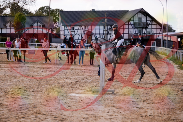 2026_10_03_Siefer-Hof_145130_Z81_30515128 | Professionelle Reitsport-, Turnier- und Eventfotografie von Robert Broda. Galerien mit ausgewählten und bearbeiteten Bildern direkt online ansehen und bestellen.