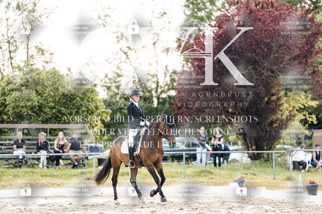 CK909571 | Turnierfotografie Pferdefotografie Trier Rheinland-Pfalz Pferdesport Reitsport Tierfotografie Sportfotografie Pferdevideo Pferdevideografie Equestrianvideography equestrianphotography  - Realisiert mit Pictrs.com