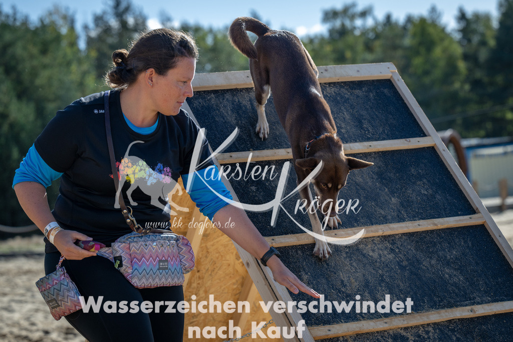 1210_ZZ92505-2 | kk-dogfotos