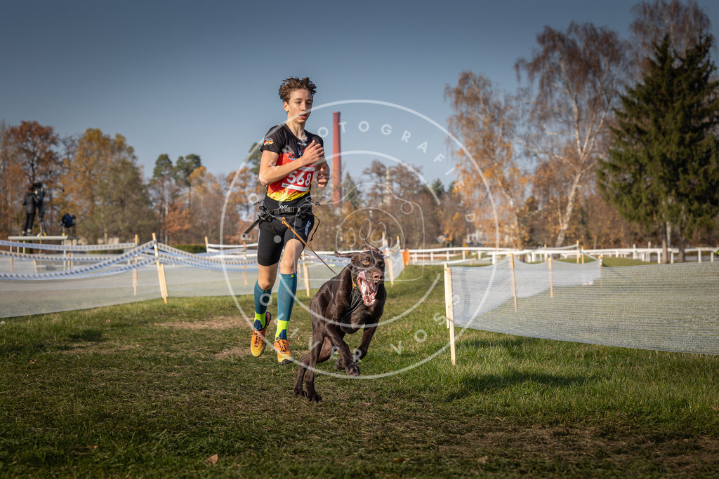 CaniXpix_0L8A9462 | Hundefotografie, Tierfotograf, Pfotenfotografie, Fotoshooting Hund, Hunde Portrait, Hundesport, Hundeportraits, Heideshooting, Hunde, Sportfotograf, Hundefotograf, Turnierhundsport, THS,  - Realisiert mit Pictrs.com