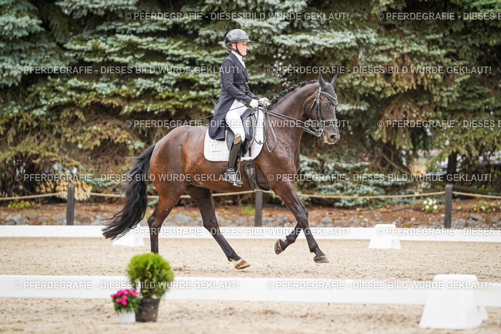 DSC07147 | Pferdegrafie