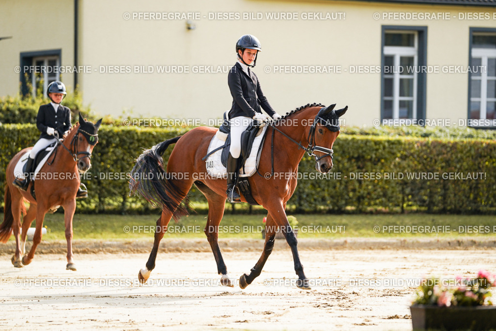 DSC05515 | Pferdegrafie